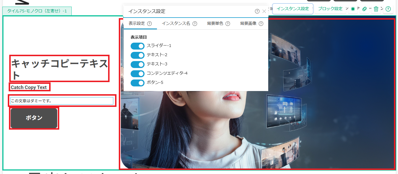 インスタンス設定(表示設定)